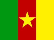 Flag of Cameroon Flag of Cameroon Flag