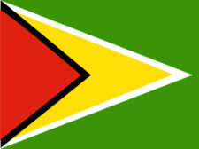 Flag of Guyana Flag of Guyana Flag